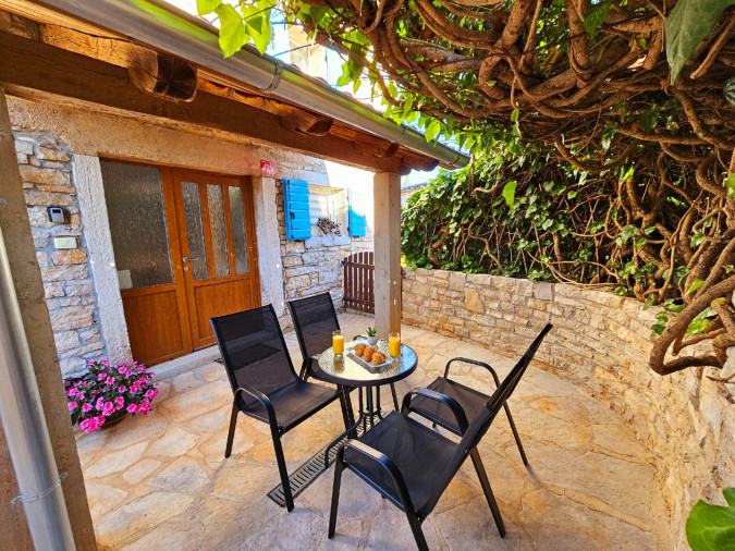Villa Istria Pipo, Villa Patrick- luxury stone house in the heart of Istria Pazin